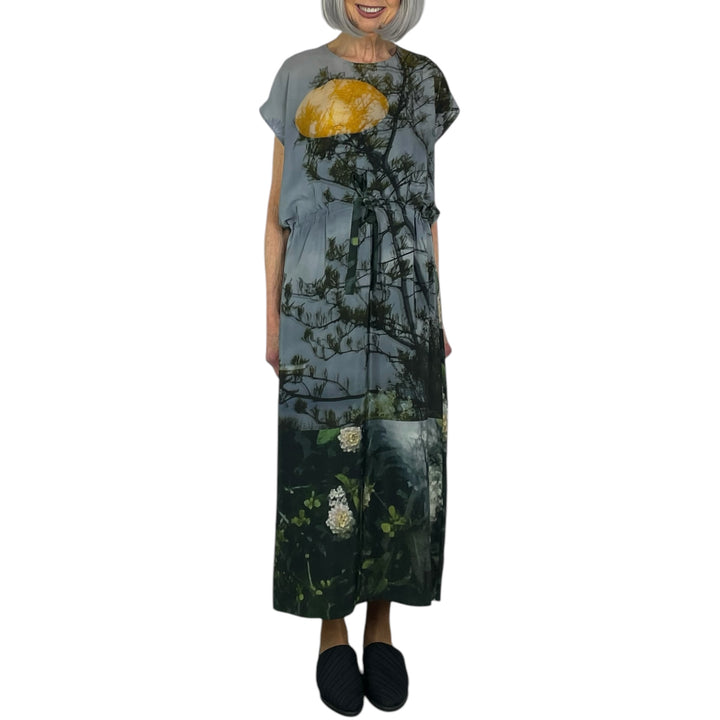 PRINTED SILK SIMPLE DRESS