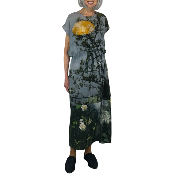 PRINTED SILK SIMPLE DRESS
