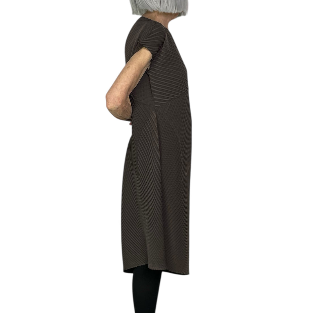 PLASTER PLEATS SOLID DRESS