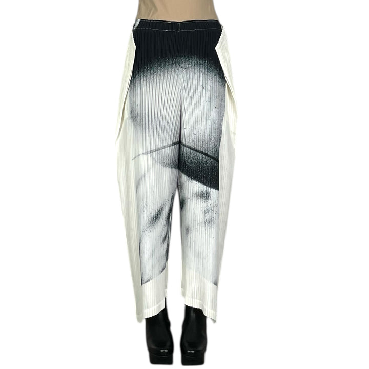 SHADOW STUDY PLEATS PANT
