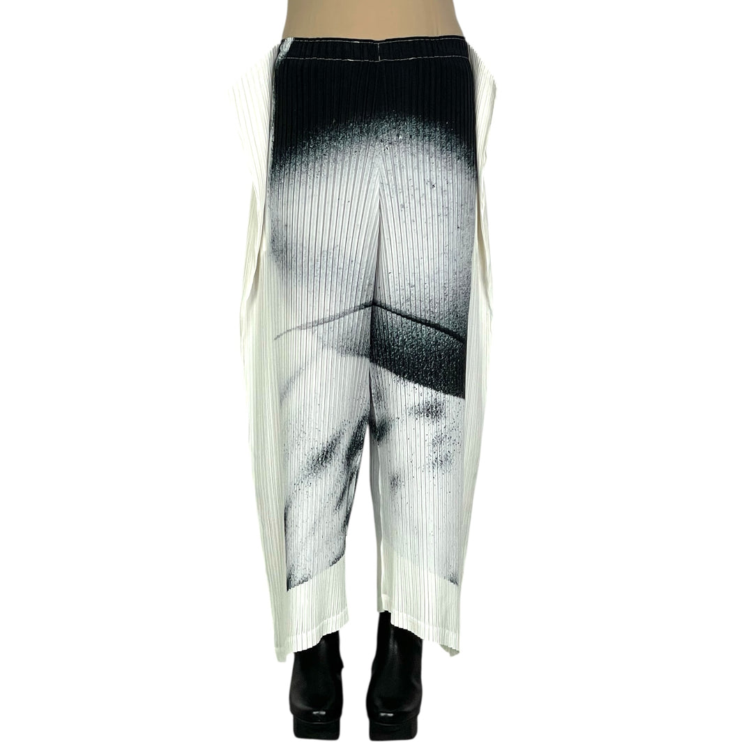 SHADOW STUDY PLEATS PANT