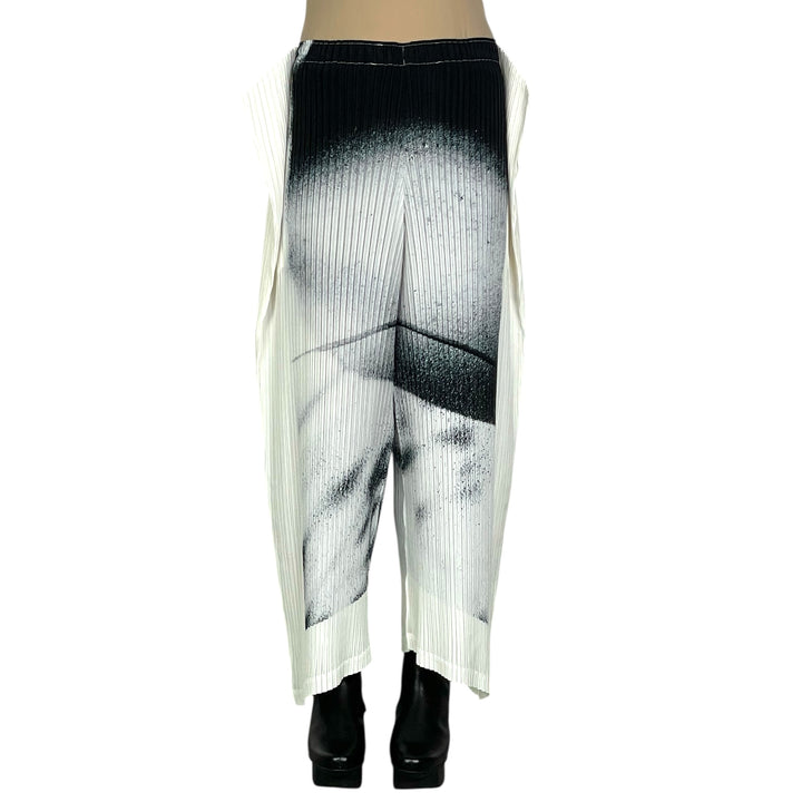 SHADOW STUDY PLEATS PANT