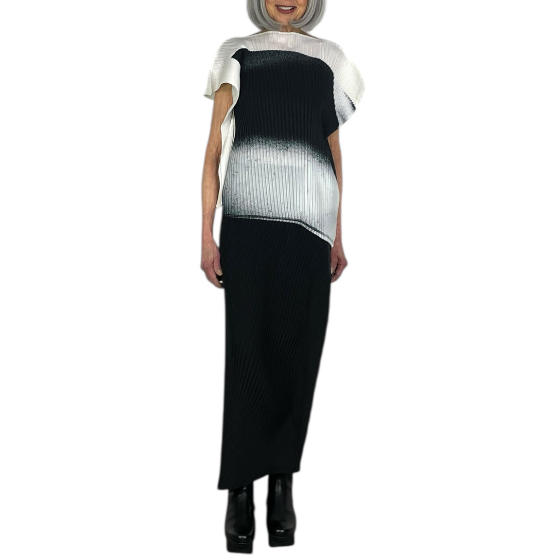 SHADOW STUDY PLEATS SOLID SKIRT