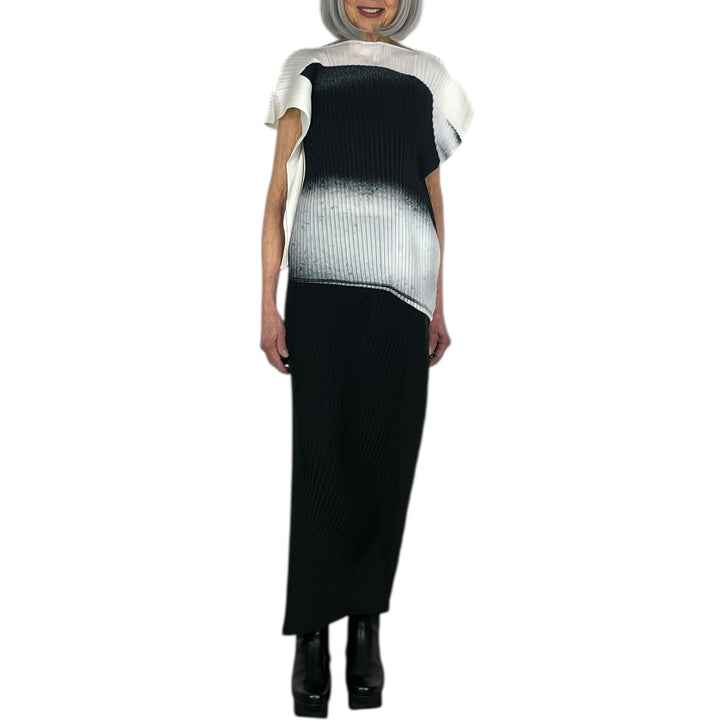 SHADOW STUDY PLEATS SOLID SKIRT