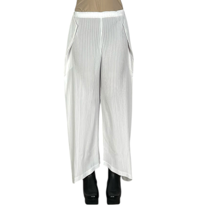 SHADOW STUDY PLEATS SOLID PANT