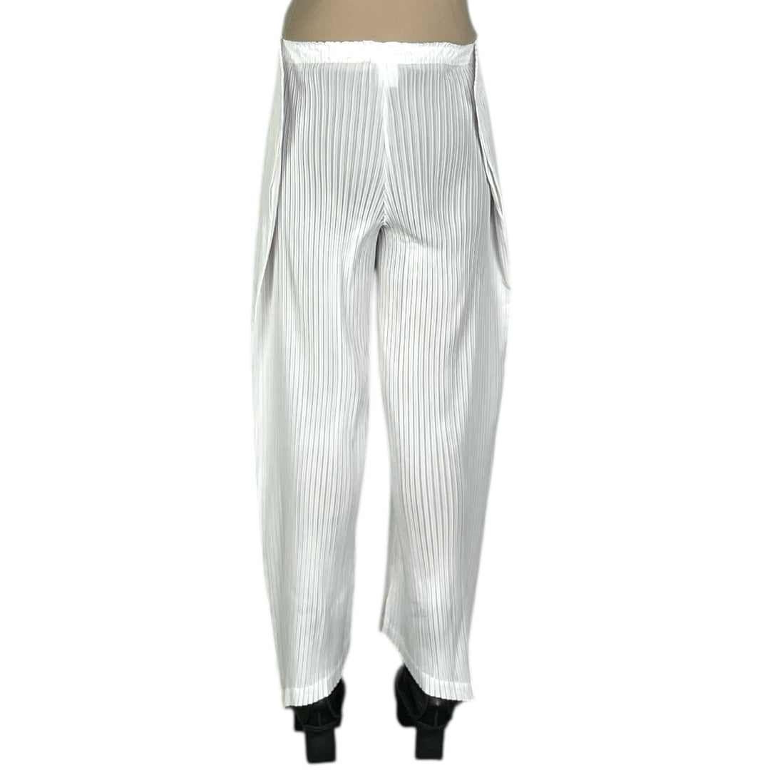 SHADOW STUDY PLEATS SOLID PANT