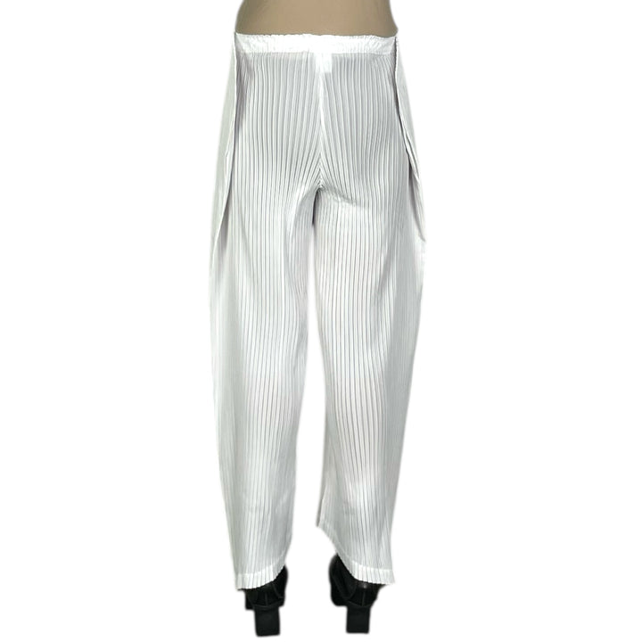 SHADOW STUDY PLEATS SOLID PANT