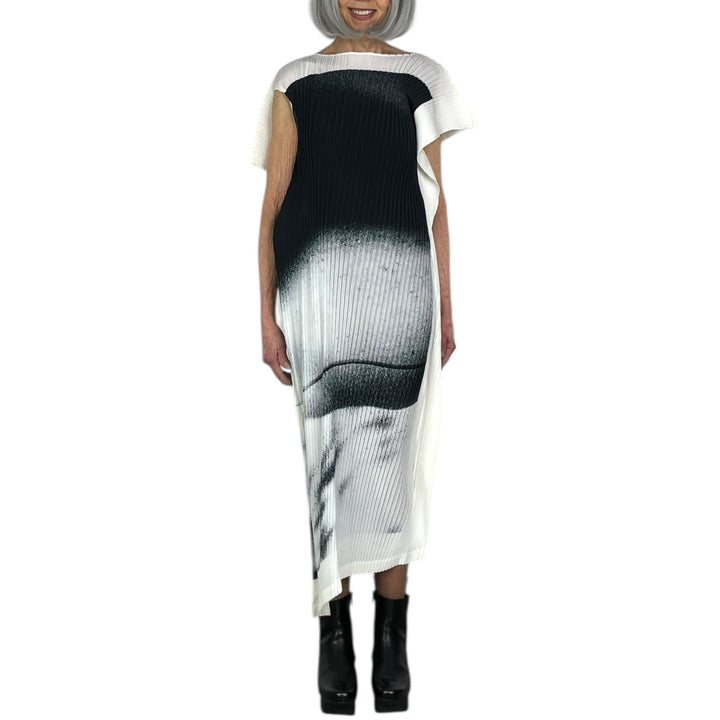 SHADOW STUDY PLEATS DRESS