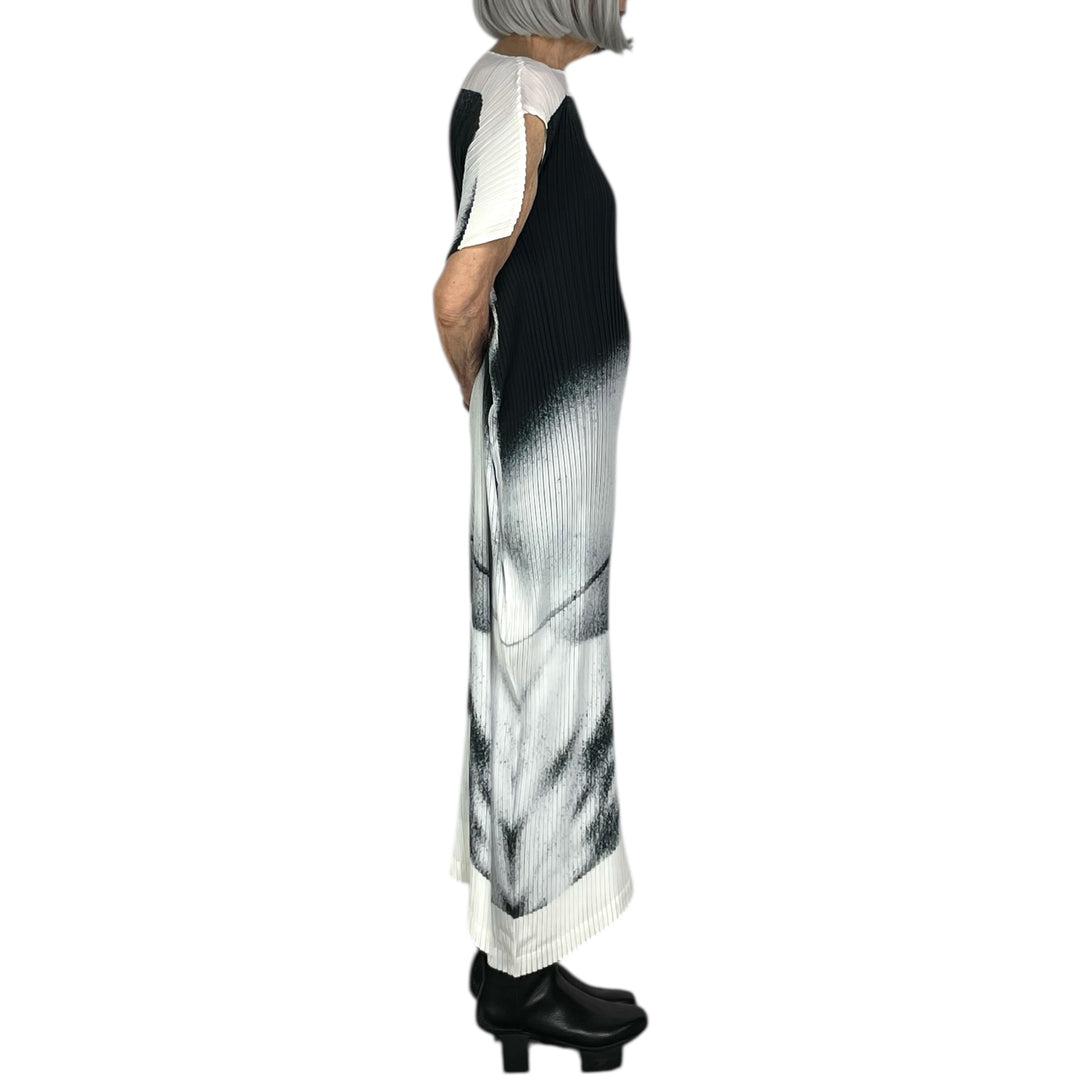 SHADOW STUDY PLEATS DRESS