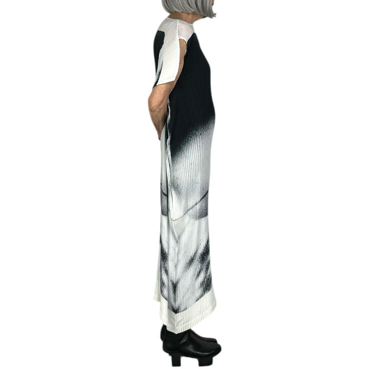 SHADOW STUDY PLEATS DRESS