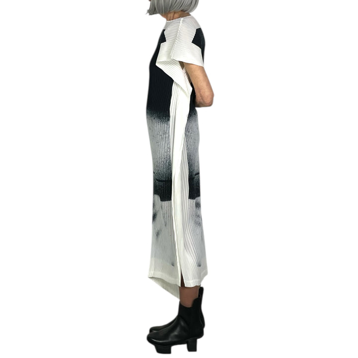 SHADOW STUDY PLEATS DRESS