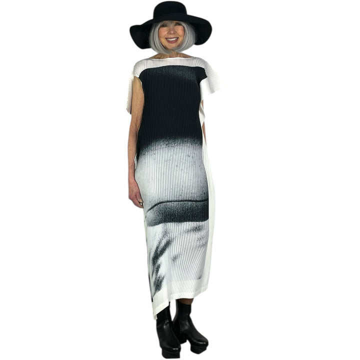 SHADOW STUDY PLEATS DRESS