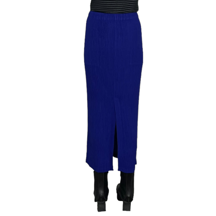 HATCHING BOTTOMS PLEAT SKIRT