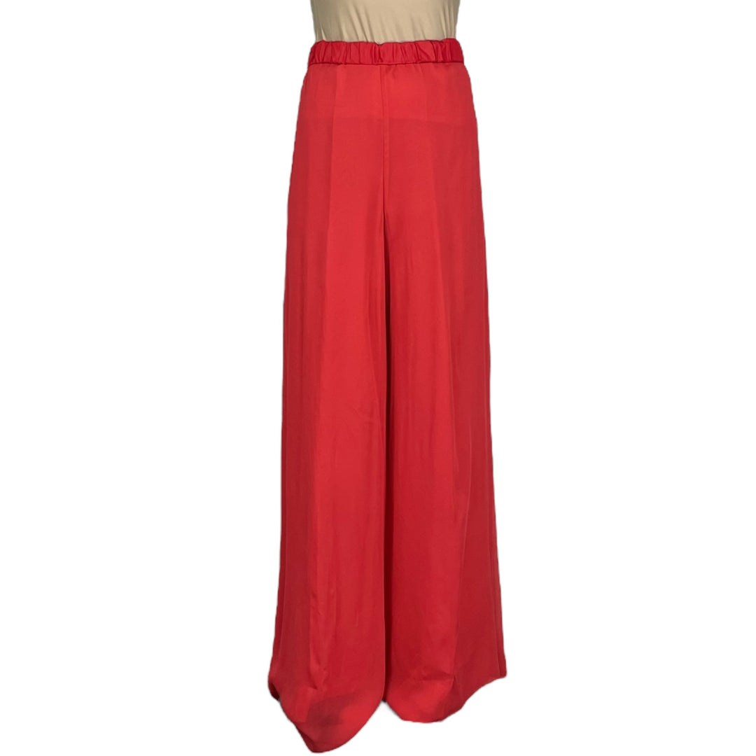 GEORGETTE PALAZZO PANT