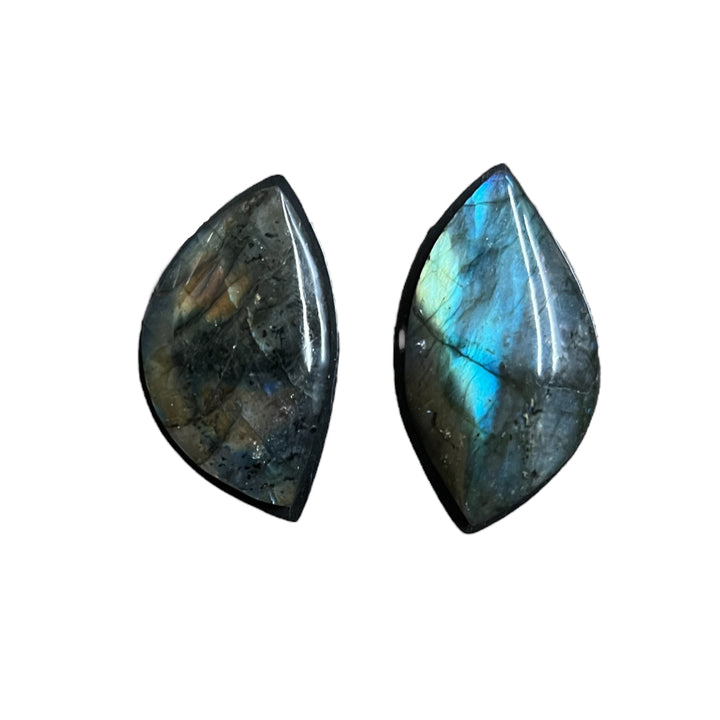 LABRODITE EARCLIPS